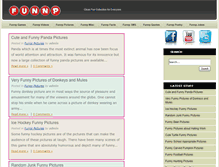 Tablet Screenshot of funnp.com